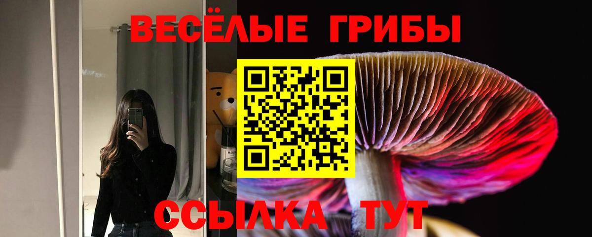 Свободный  Галлюциногенные грибы мицелий  Вход с VPN  Галлюциногенные грибы Magic Shrooms 