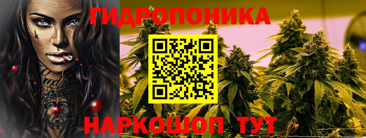Каннабис сатива  Каннабис LSD WEED  Вход с VPN  Свободный  МАРИХУАНА LSD WEED  МАРИХУАНА SATIVA & INDICA 